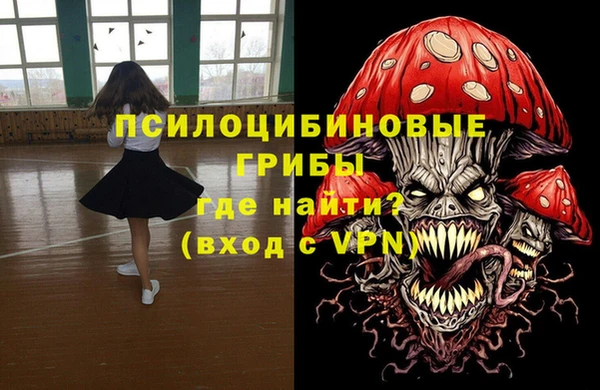 ALPHA-PVP Гусев