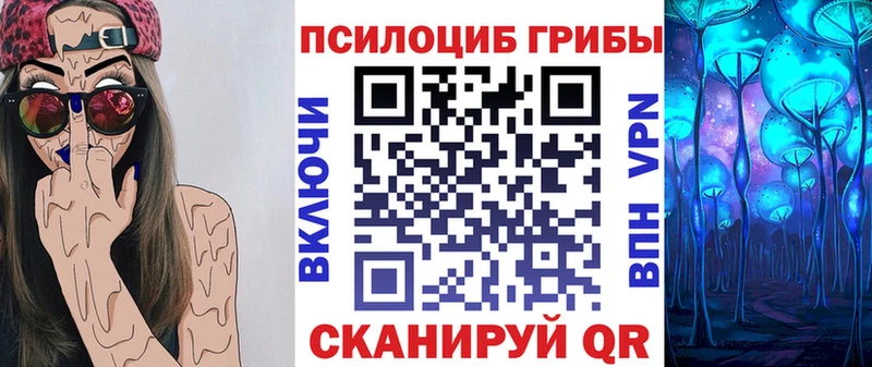 Купить  Сурск  Галлюциногенные грибы Psilocybine cubensis 